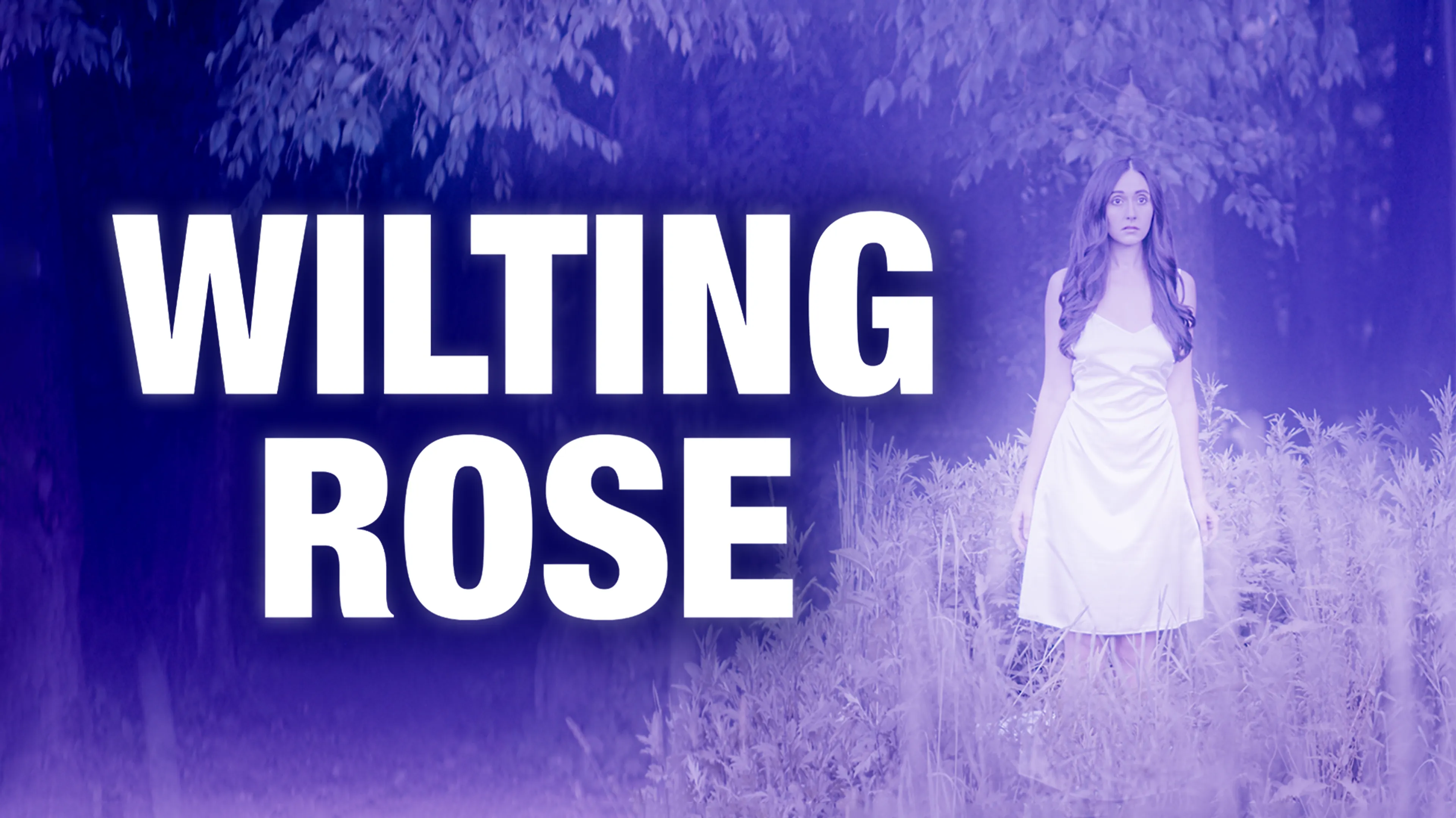 Wilting Rose poster